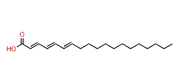 Nonadecatrienoic acid